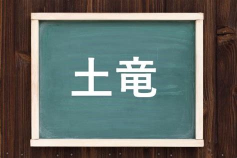 土 龍|土竜（どりゅう）とは？ 意味・読み方・使い方をわかりやすく。